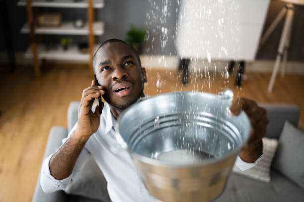 Best Sewage cleanup and water damage restoration  in Hamlin, WV