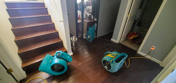 Best Water damage restoration company  in Hamlin, WV