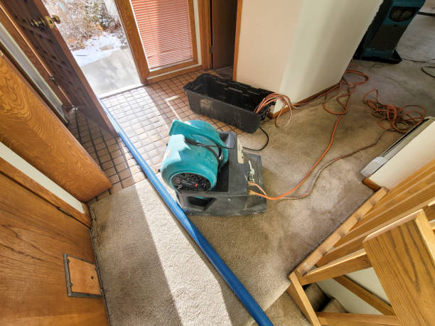 Best Water damage restoration near me  in Hamlin, WV