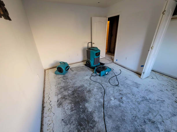Water damage restoration insurance claims in Hamlin, WV