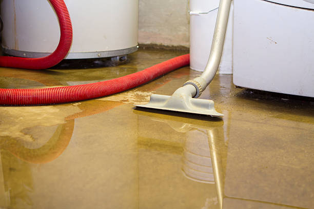 Best Water damage restoration insurance claims  in Hamlin, WV