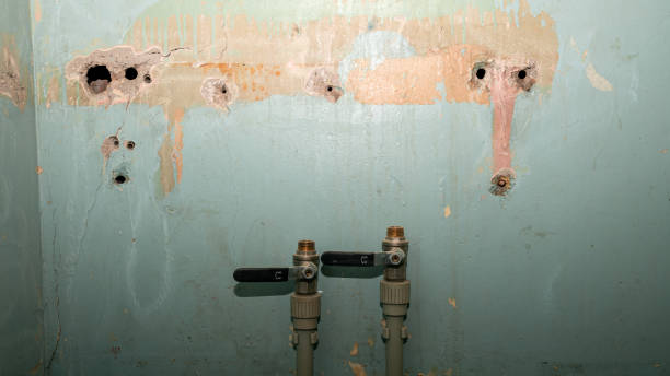 Best Water damage restoration near me  in Hamlin, WV