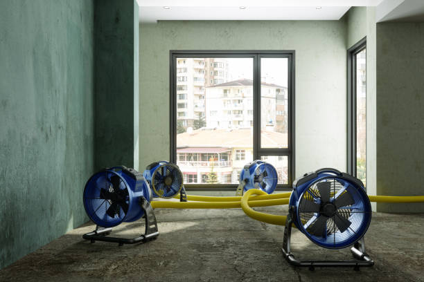 Best Commercial water damage restoration  in Hamlin, WV