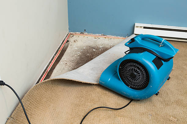 Best Flood restoration services  in Hamlin, WV
